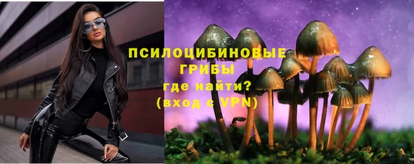 сатива Алексин