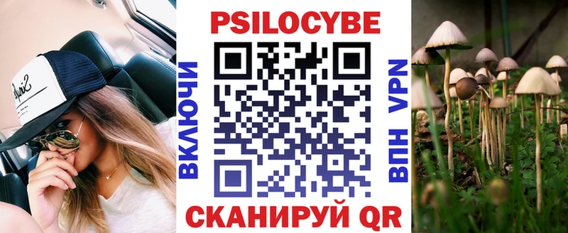 дарнет шоп  Балашов  Галлюциногенные грибы Cubensis 