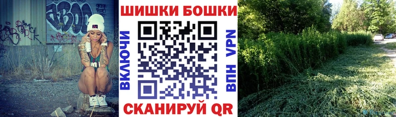 как найти   Балашов  Бошки Шишки семена 